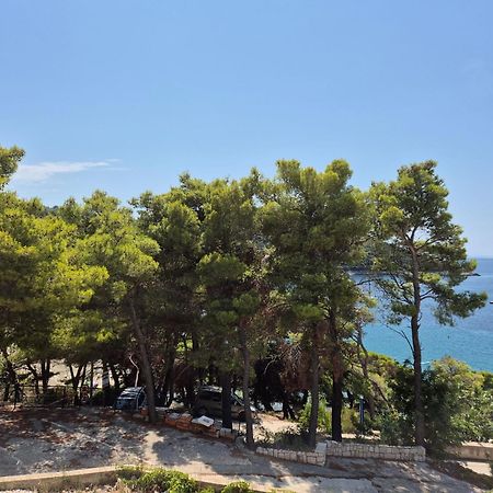 Apartment Kristic - Saplunara, Mljet Babino Polje エクステリア 写真