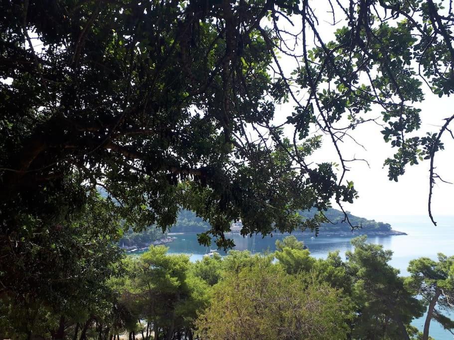 Apartment Kristic - Saplunara, Mljet Babino Polje エクステリア 写真