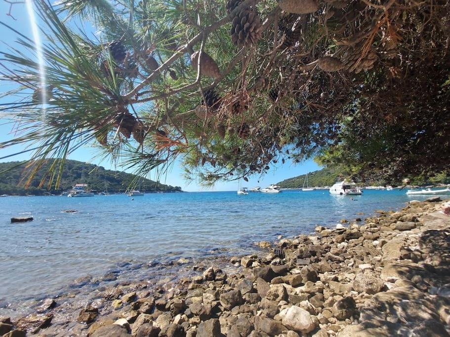 Apartment Kristic - Saplunara, Mljet Babino Polje エクステリア 写真