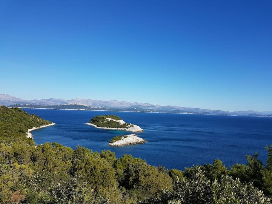 Apartment Kristic - Saplunara, Mljet Babino Polje エクステリア 写真
