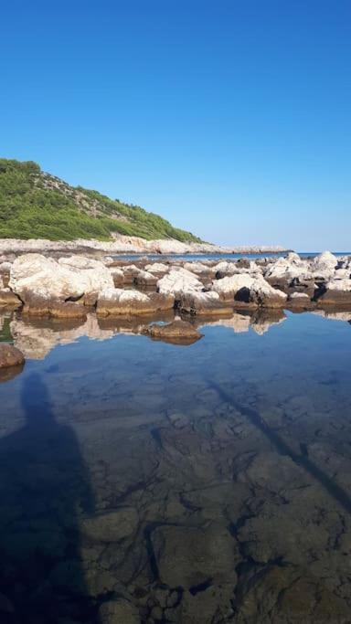 Apartment Kristic - Saplunara, Mljet Babino Polje エクステリア 写真