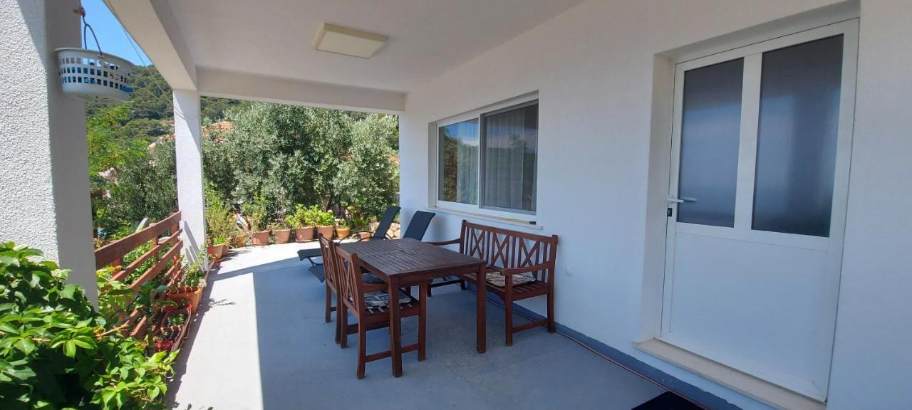 Apartment Kristic - Saplunara, Mljet Babino Polje エクステリア 写真