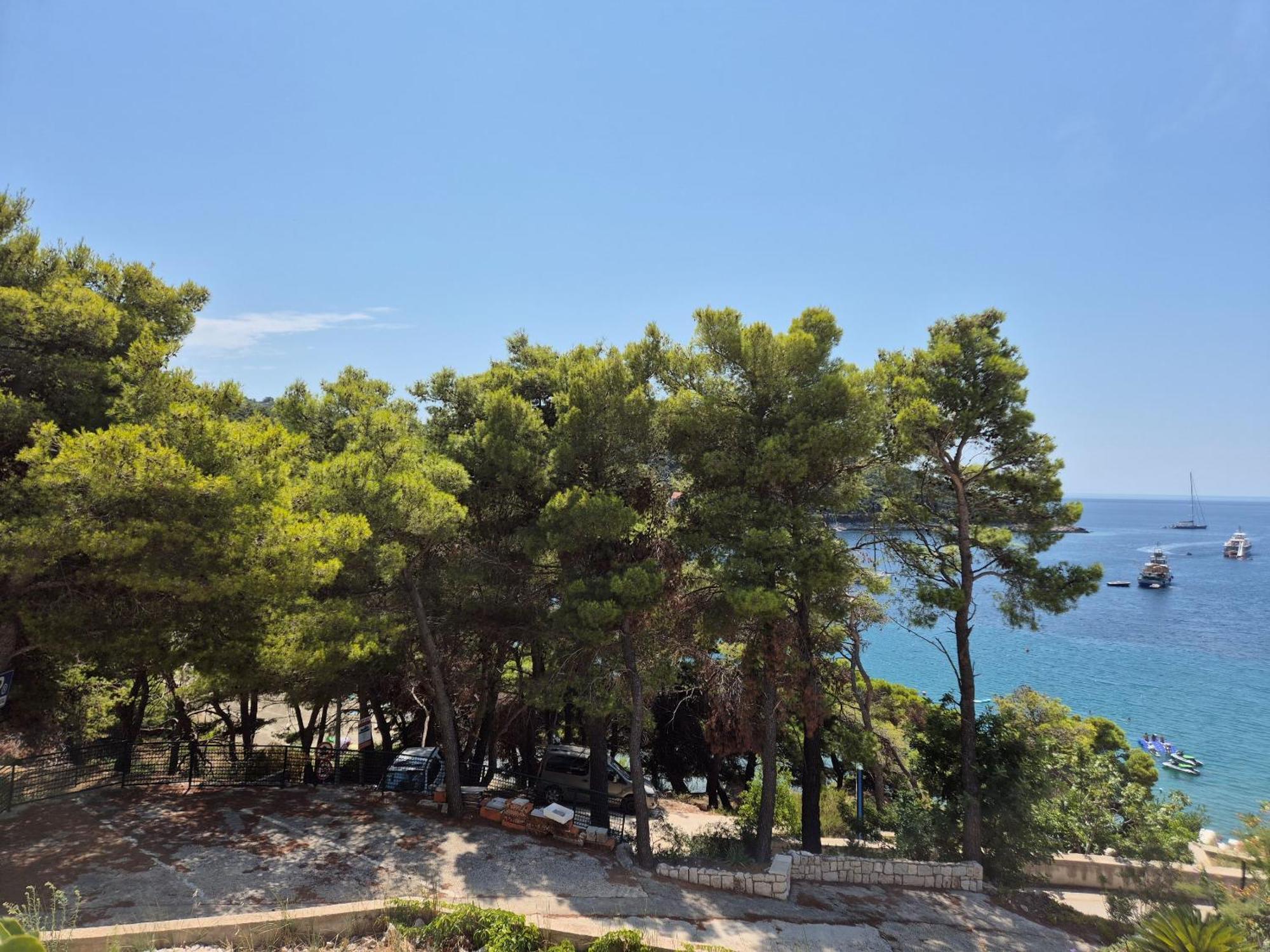 Apartment Kristic - Saplunara, Mljet Babino Polje エクステリア 写真